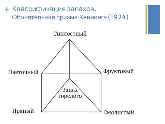 Классификация запахов. Обонятельная призма Хеннинга (1924)