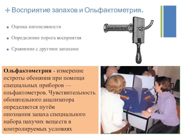 Оценка интенсивности Определение порога восприятия Сравнение с другими запахами Восприятие