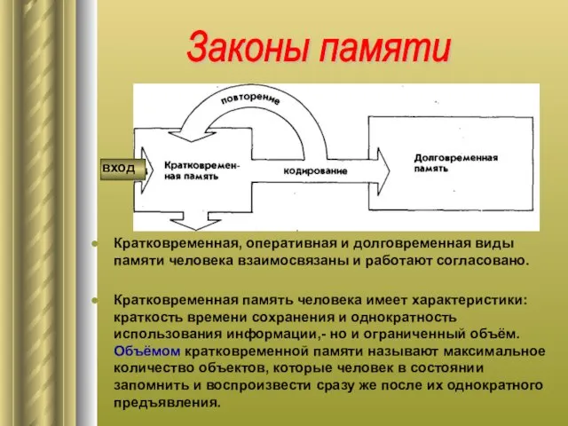 Кратковременная, оперативная и долговременная виды памяти человека взаимосвязаны и работают