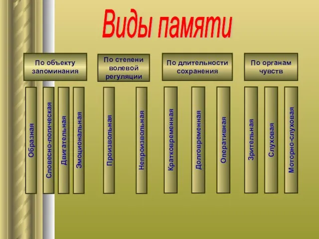 По объекту запоминания По степени волевой регуляции По длительности сохранения