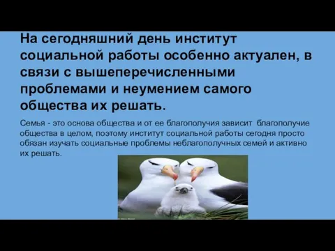 На сегодняшний день институт социальной работы особенно актуален, в связи