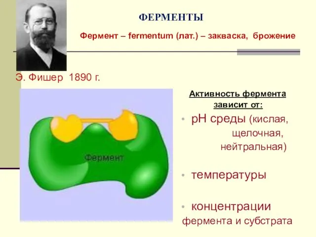 Активность фермента зависит от: pH среды (кислая, щелочная, нейтральная) температуры концентрации фермента и