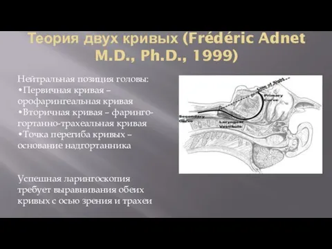 Теория двух кривых (Frédéric Adnet M.D., Ph.D., 1999) Нейтральная позиция