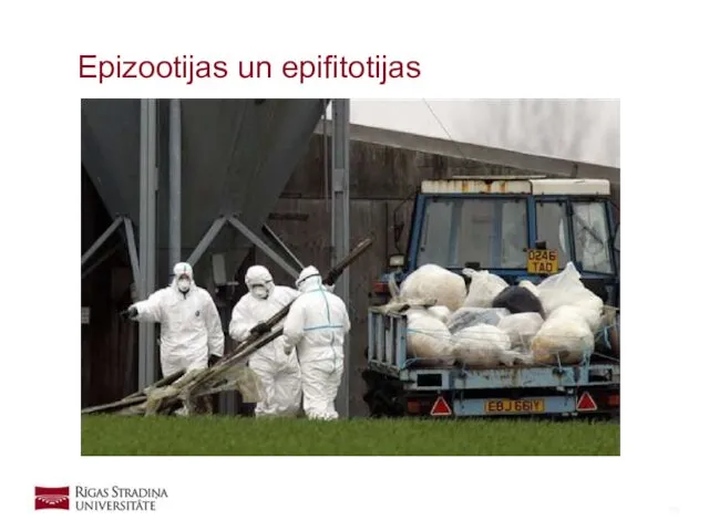 Epizootijas un epifitotijas