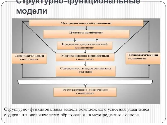 Структурно-функциональные модели Структурно-функциональная модель комплексного усвоения учащимися содержания экологического образования на межпредметной основе