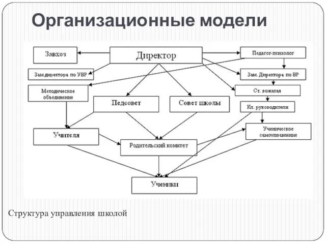 Организационные модели Структура управления школой