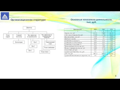 5 Организационная структура Основные показатели деятельности, тыс. руб.