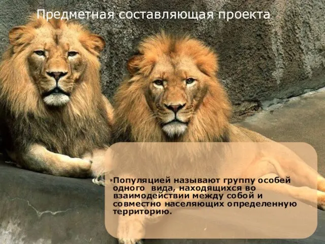 Популяцией называют группу особей одного вида, находящихся во взаимодействии между