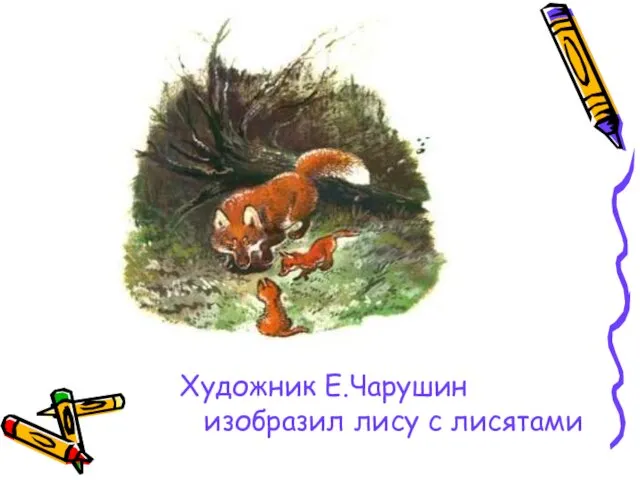 Художник Е.Чарушин изобразил лису с лисятами