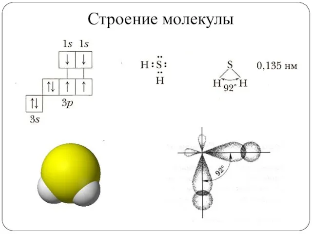 Строение молекулы