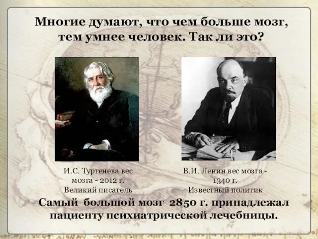 И.С. Тургенева вес мозга - 2012 г. Великий писатель В.И. Ленин вес мозга