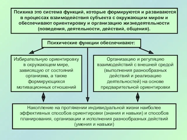 Психика это система функций, которые формируются и развиваются в процессах