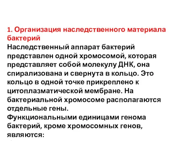 1. Организация наследственного материала бактерий Наследственный аппарат бактерий представлен одной