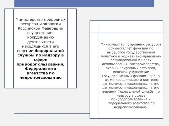 Министерство природных ресурсов и экологии Российской Федерации осуществляет координацию деятельности