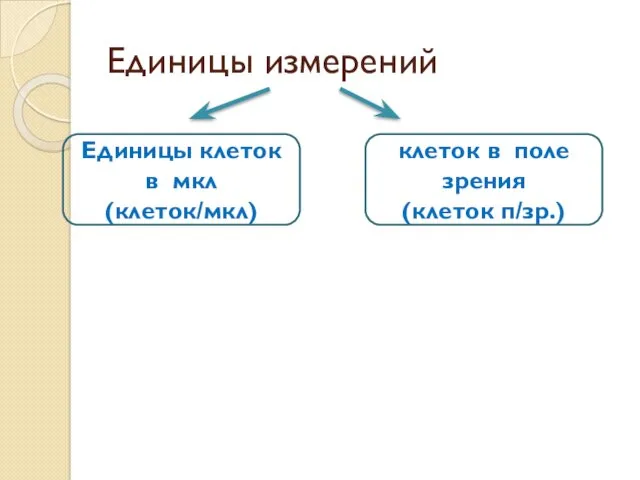 Единицы измерений Единицы клеток в мкл (клеток/мкл) клеток в поле зрения (клеток п/зр.)