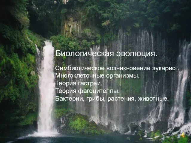 Биологическая эволюция. Симбиотическое возникновение эукариот. Многоклеточные организмы. Теория гастреи. Теория