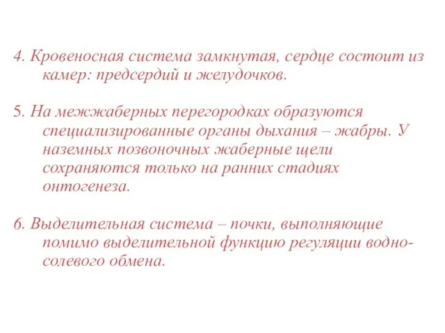 4. Кровеносная система замкнутая, сердце состоит из камер: предсердий и