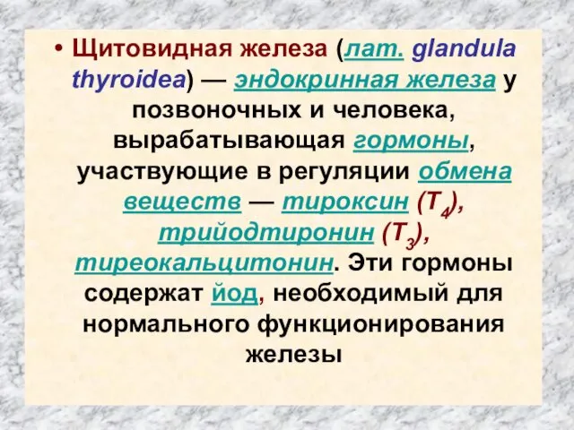 Щитовидная железа (лат. glandula thyroidea) — эндокринная железа у позвоночных