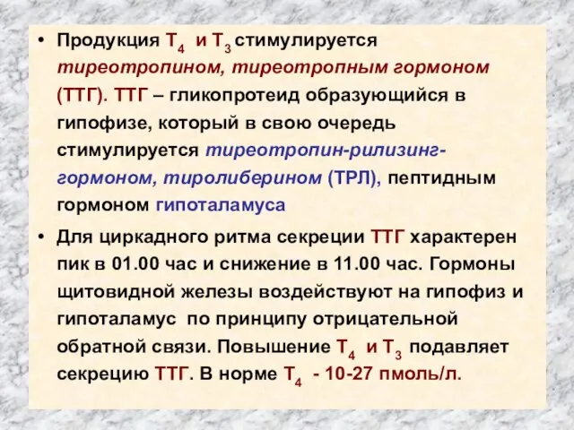 Продукция Т4 и Т3 стимулируется тиреотропином, тиреотропным гормоном (ТТГ). ТТГ