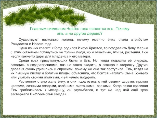 Существуют несколько легенд, почему именно ёлка стала атрибутом Рождества и