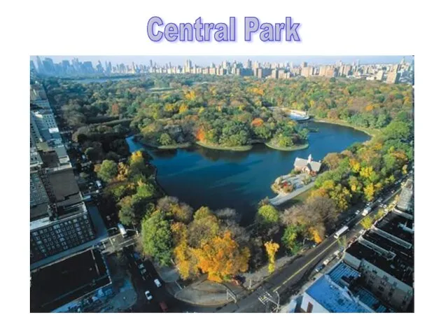 Central Park