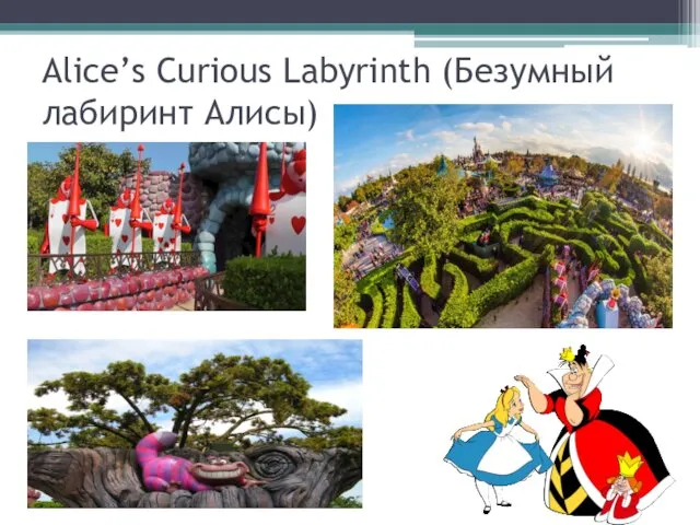 Alice’s Curious Labyrinth (Безумный лабиринт Алисы)