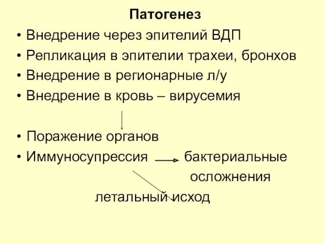 Патогенез Внедрение через эпителий ВДП Репликация в эпителии трахеи, бронхов