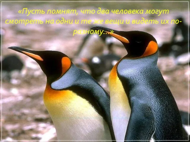 «Пусть помнят, что два человека могут смотреть на одни и