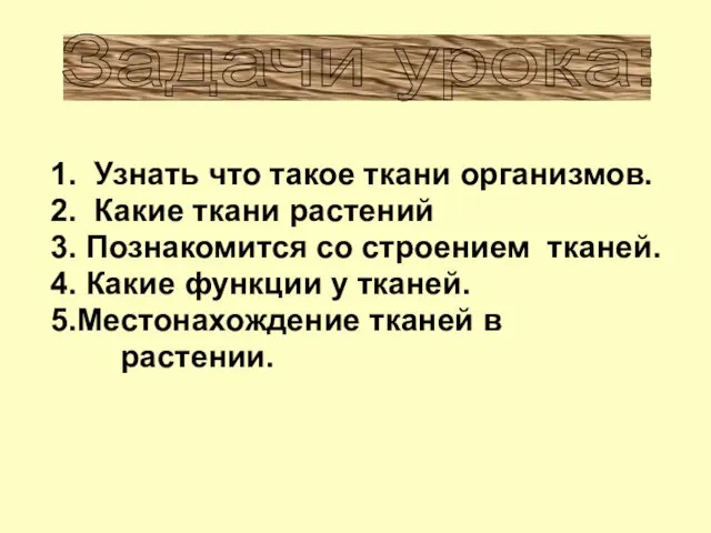 1. Узнать что такое ткани организмов. 2. Какие ткани растений