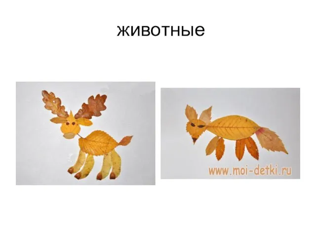 животные