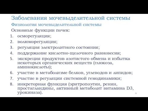 Заболевания мочевыделительной системы Физиология мочевыделительной системы Основные функции почек: осморегуляция;