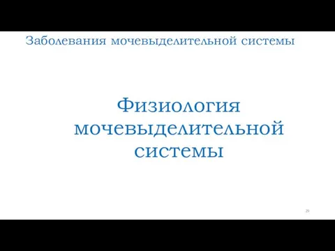 Заболевания мочевыделительной системы Физиология мочевыделительной системы