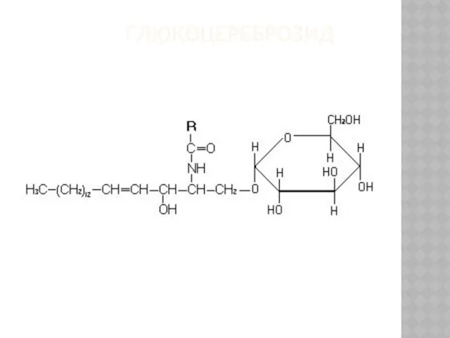 ГЛЮКОЦЕРЕБРОЗИД