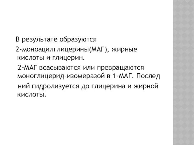 В результате образуются 2-моноацилглицерины(МАГ), жирные кислоты и глицерин. 2-МАГ всасываются