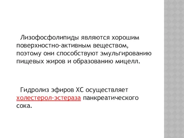 Лизофосфолипиды являются хорошим поверхностно-активным веществом, поэтому они способствуют эмульгированию пищевых