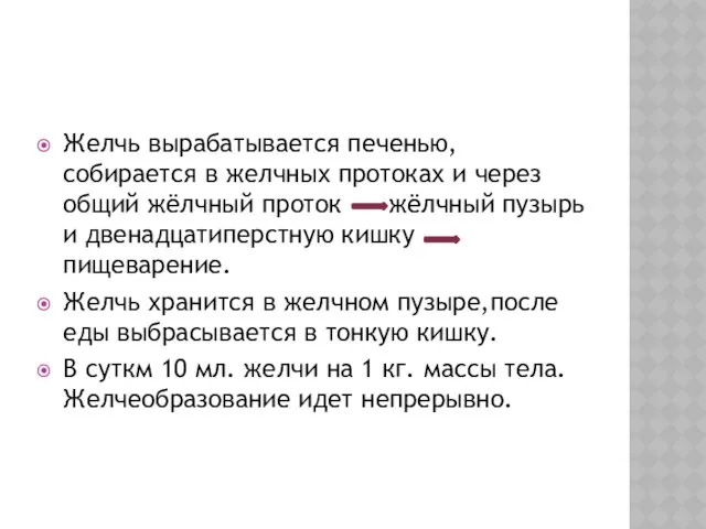 Желчь вырабатывается печенью, собирается в желчных протоках и через общий