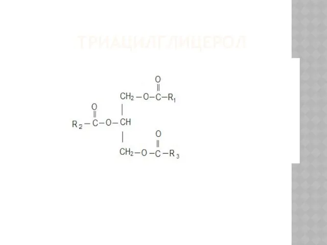 ТРИАЦИЛГЛИЦЕРОЛ