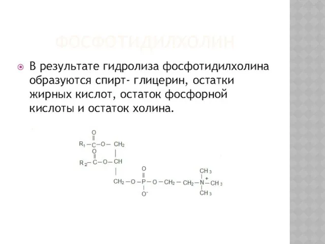 ФОСФОТИДИЛХОЛИН В результате гидролиза фосфотидилхолина образуются спирт- глицерин, остатки жирных