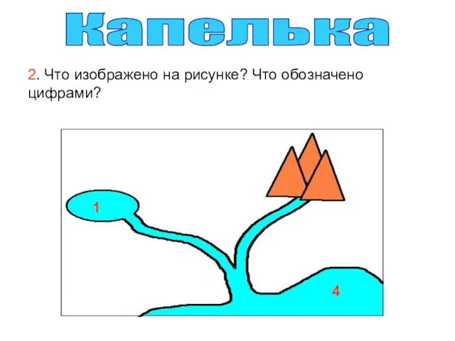 2. Что изображено на рисунке? Что обозначено цифрами? Капелька