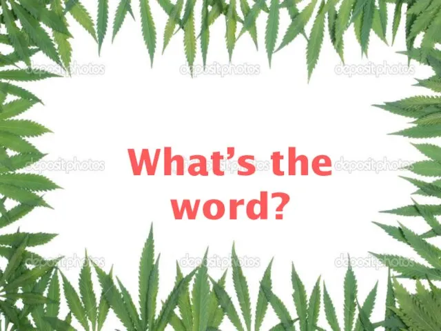 What’s the word?