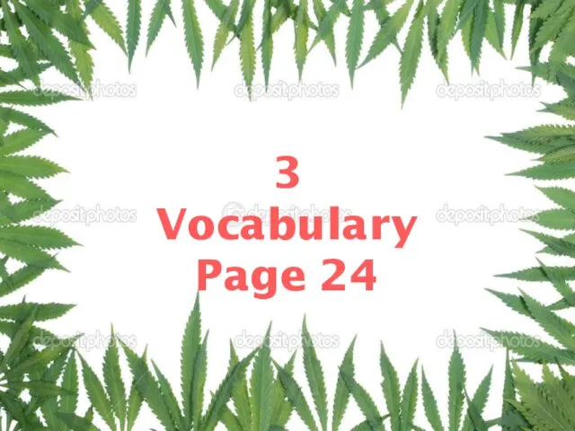 3 Vocabulary Page 24