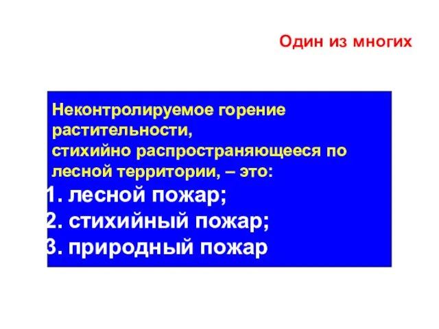 Один из многих Неконтролируемое горение растительности, стихийно распространяющееся по лесной