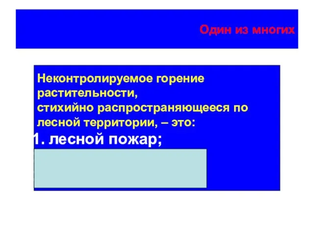 Один из многих Неконтролируемое горение растительности, стихийно распространяющееся по лесной