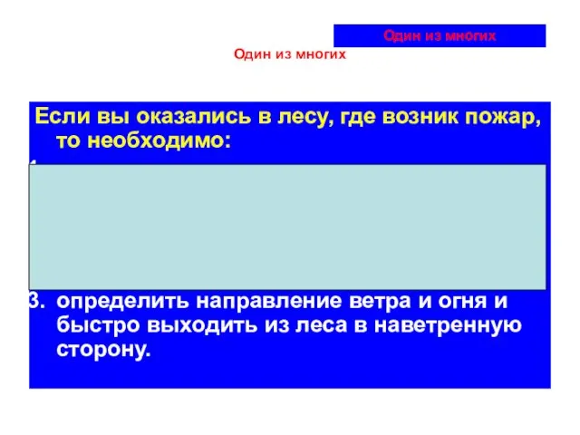 Один из многих Если вы оказались в лесу, где возник