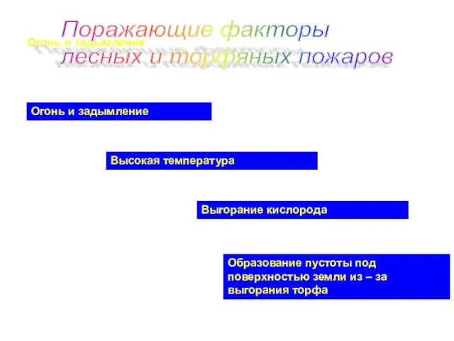 Огонь и задымление Поражающие факторы лесных и торфяных пожаров Огонь