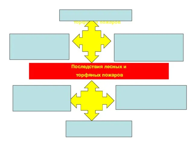 Последствия лесных и торфяных пожаров Последствия лесных и торфяных пожаров