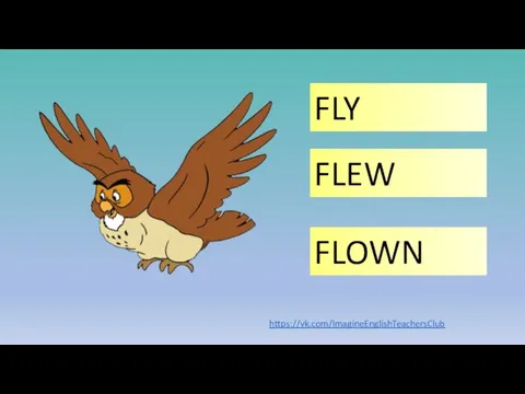 FLY FLOWN FLEW https://vk.com/ImagineEnglishTeachersClub