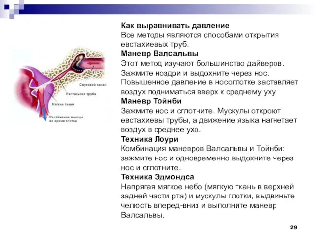 Как выравнивать давление Все методы являются способами открытия евстахиевых труб.