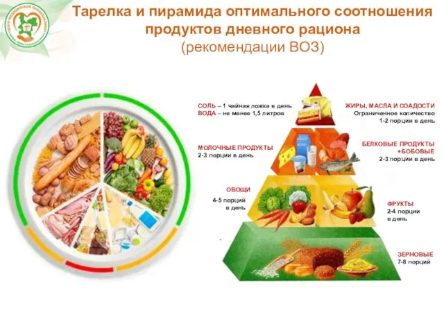 Тарелка и пирамида оптимального соотношения продуктов дневного рациона (рекомендации ВОЗ)