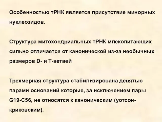 Особенностью тРНК является присутствие минорных нуклеозидов. Структура митохондриальных тРНК млекопитающих